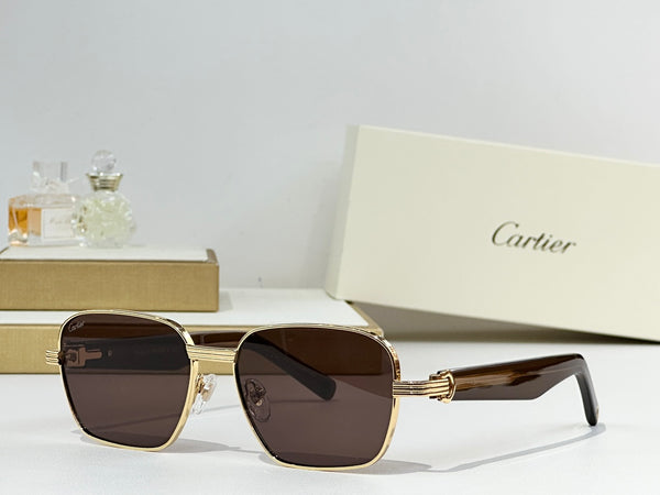 CARTIER Sunglasses 29x7