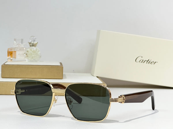 CARTIR Sunglasses 29x7 A