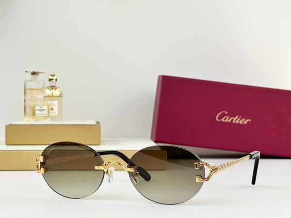 CARTIER Sunglasses 4x8B